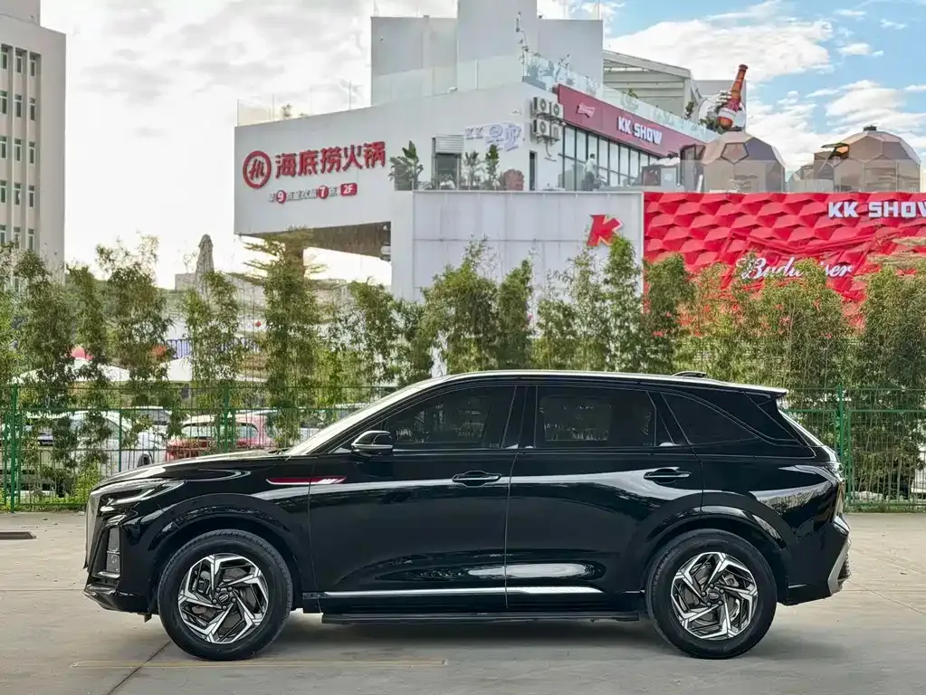 Hongqi HS3 2023 из CN, фото 9