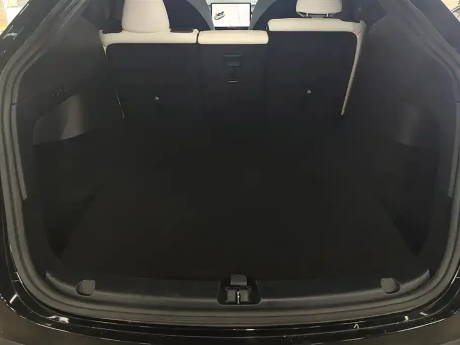 Tesla Model Y 2022 из CN, фото 4