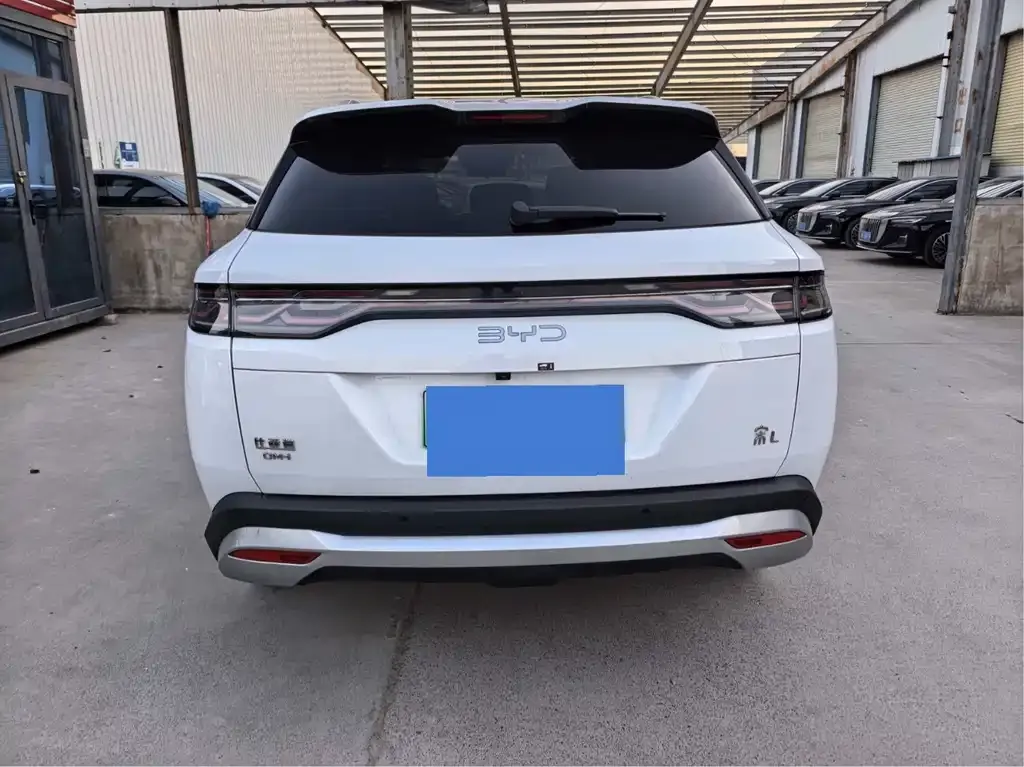 BYD L DM-i 2024 из CN, фото 5