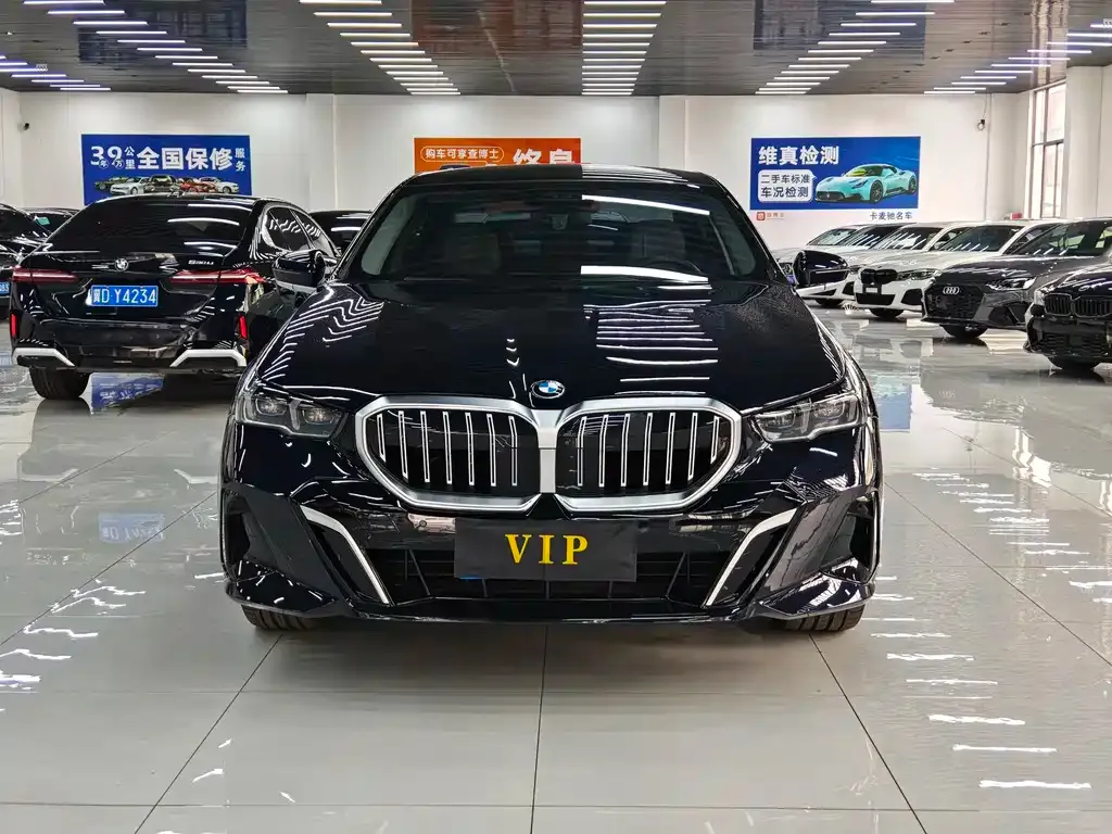 BMW 5 Series 2024 из CN, фото 8