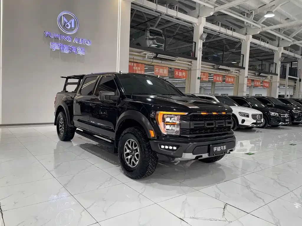 Ford F-150 Raptor 2023 из CN, фото 9