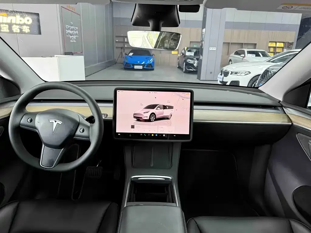 Tesla Model Y 2023 из CN, фото 6