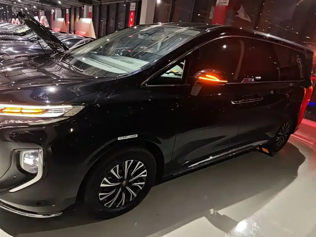 Hongqi HQ9 PHEV 2024 из CN, фото 9