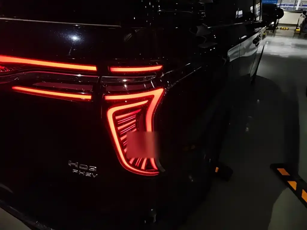 Hongqi HQ9 PHEV 2024 из CN, фото 5