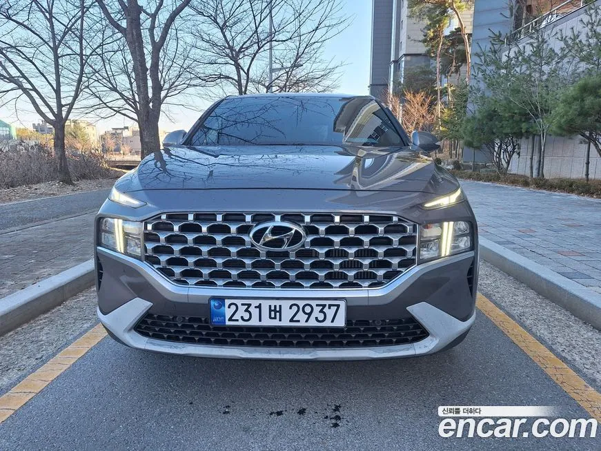 Hyundai Santafe 2021 из KR, фото 8