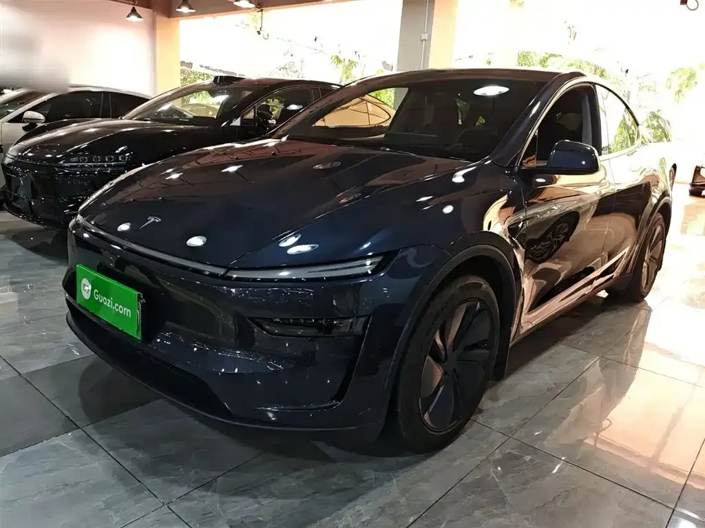 Tesla Model Y 2025 из CN, фото 5