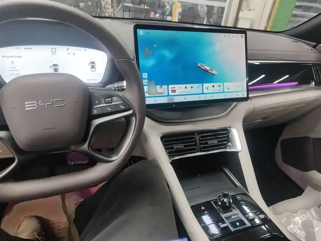 BYD PLUS New Energy 2025 из CN, фото 10