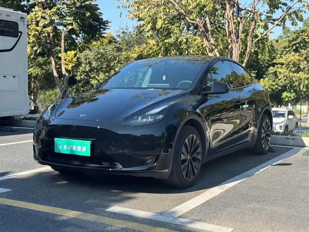 Tesla Model Y 2024 из CN, фото 1