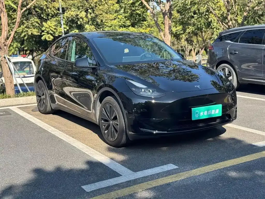 Tesla Model Y 2024 из CN, фото 2