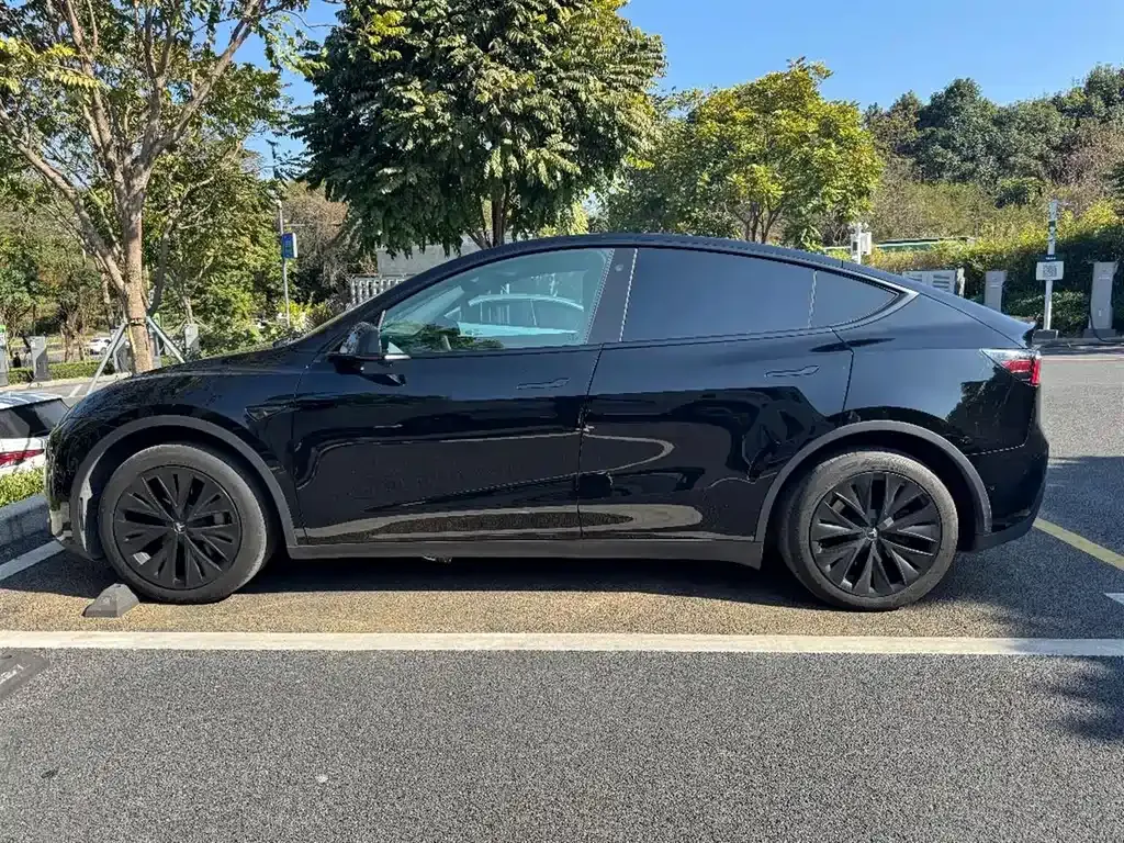 Tesla Model Y 2024 из CN, фото 3