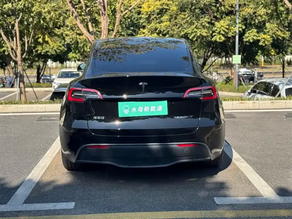 Tesla Model Y 2024 из CN, фото 5
