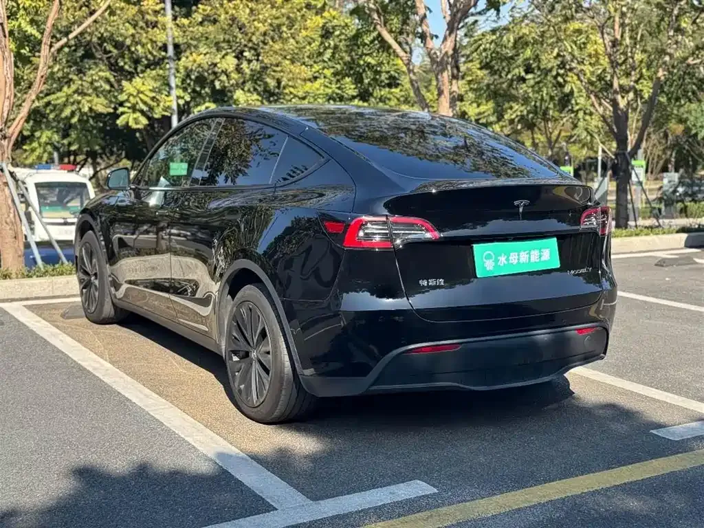 Tesla Model Y 2024 из CN, фото 7
