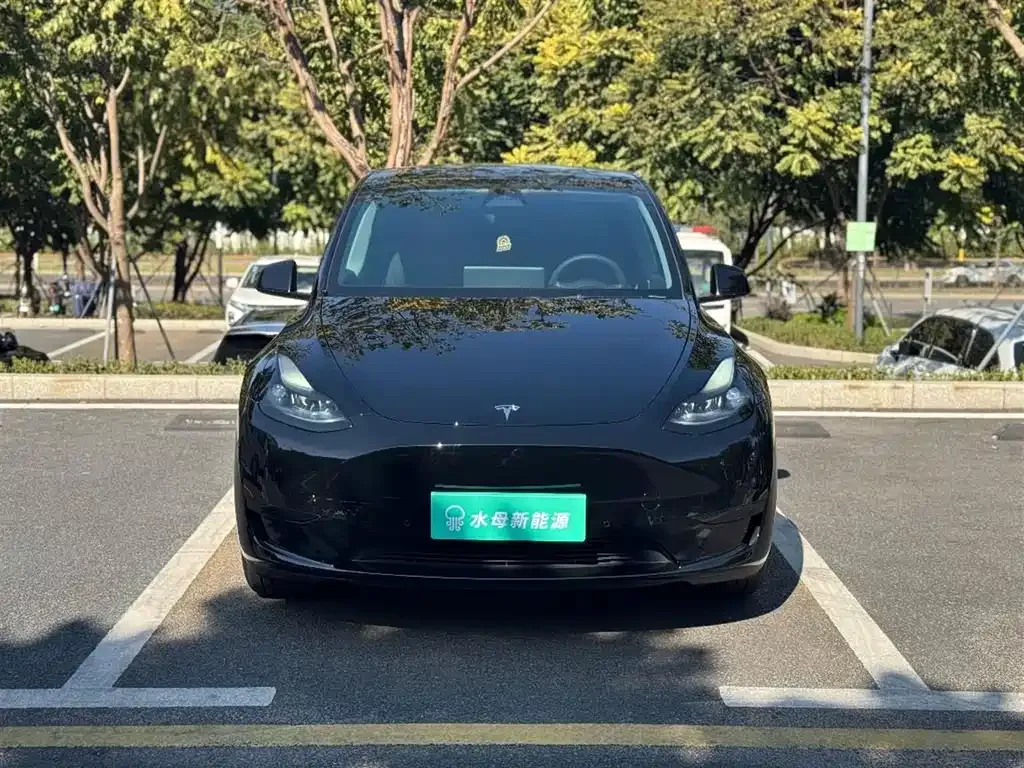 Tesla Model Y 2024 из CN, фото 9