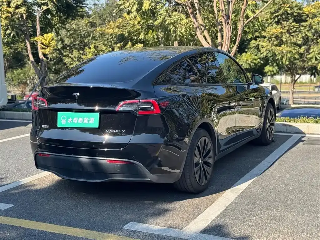 Tesla Model Y 2024 из CN, фото 10