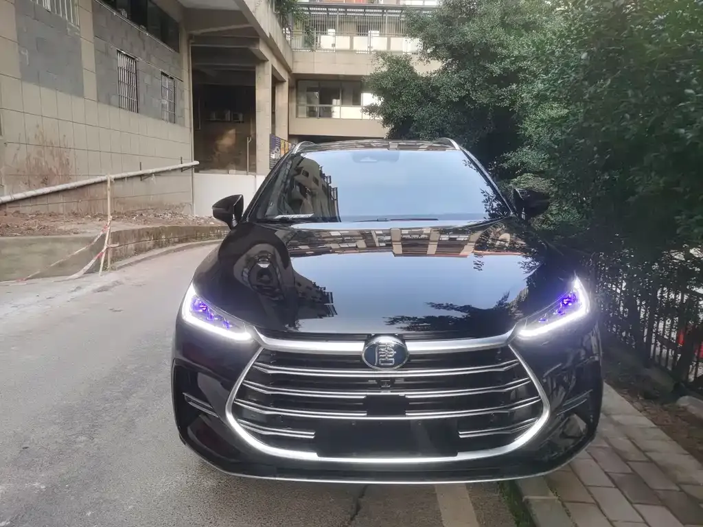 BYD Tang New Energy 2022 из CN, фото 3