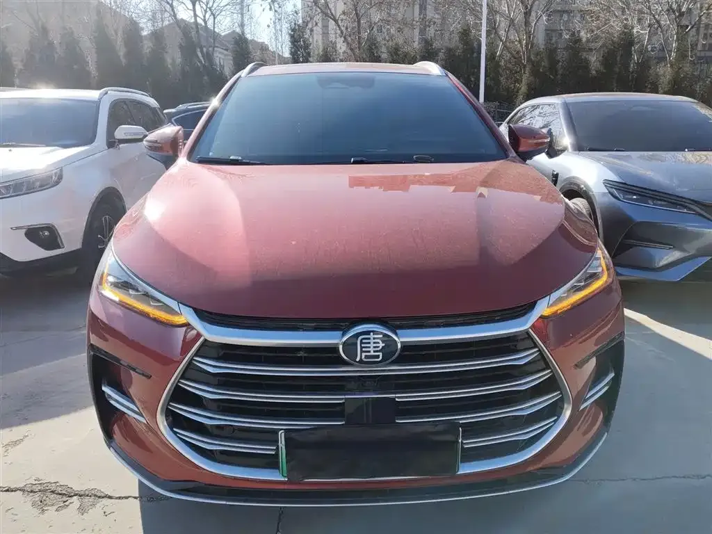 BYD Tang New Energy 2022 из CN, фото 4