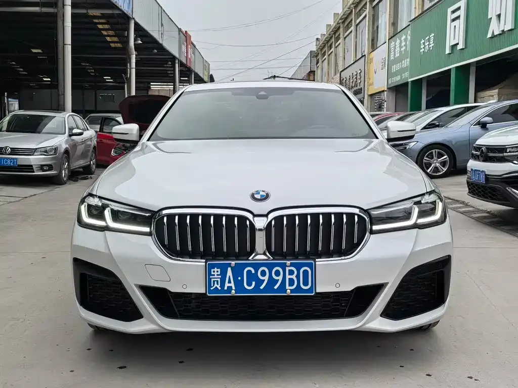 BMW 5 Series 2022 из CN, фото 8