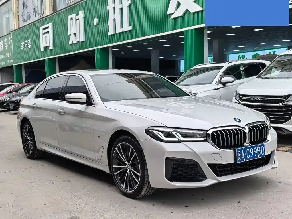 BMW 5 Series 2022 из CN, фото 10