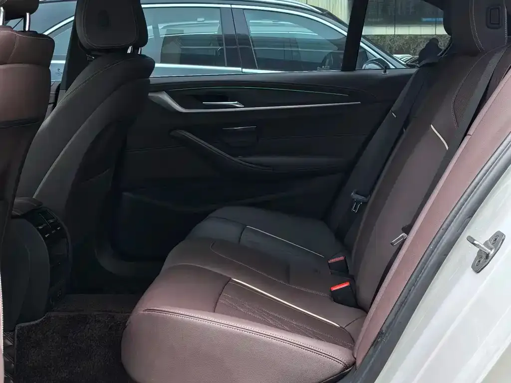 BMW 5 Series 2022 из CN, фото 2