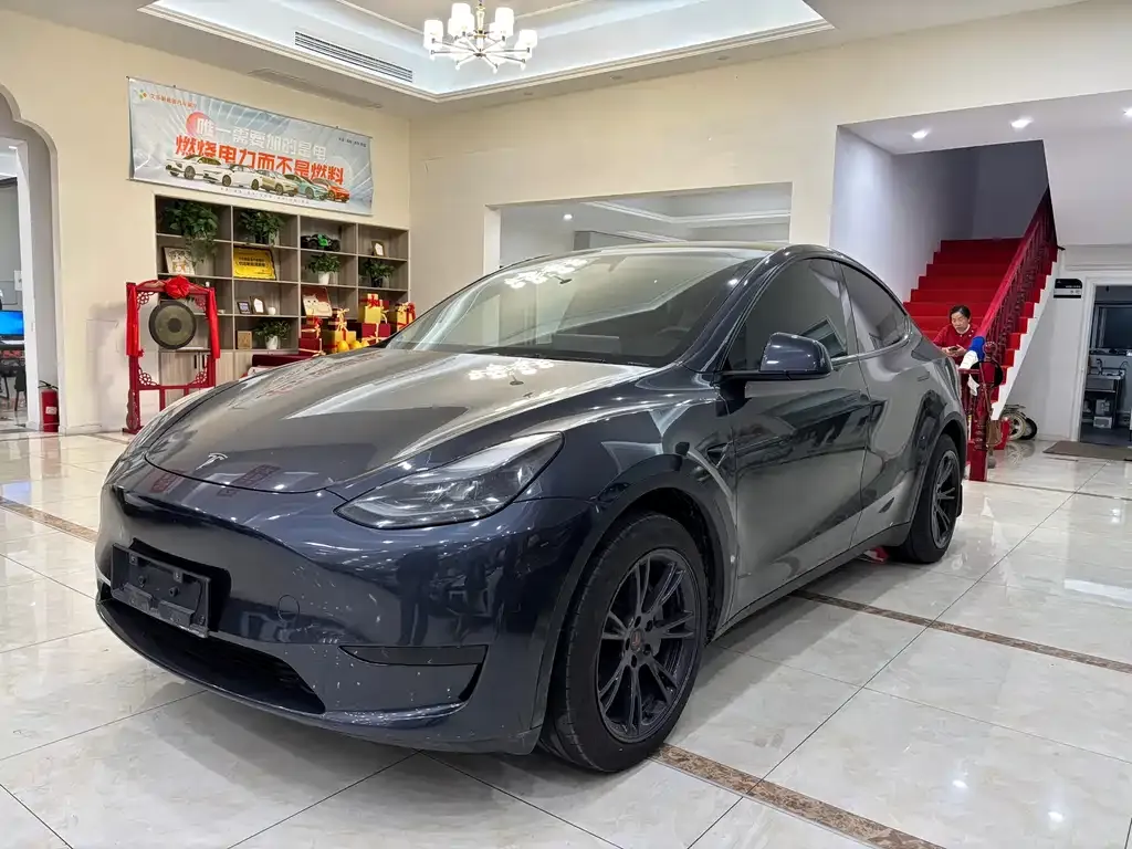 Tesla Model Y — фото 1