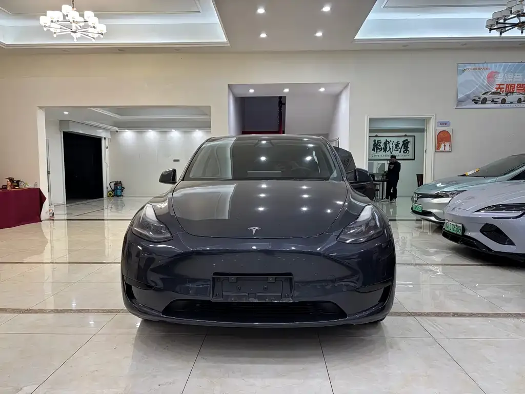 Tesla Model Y — фото 2