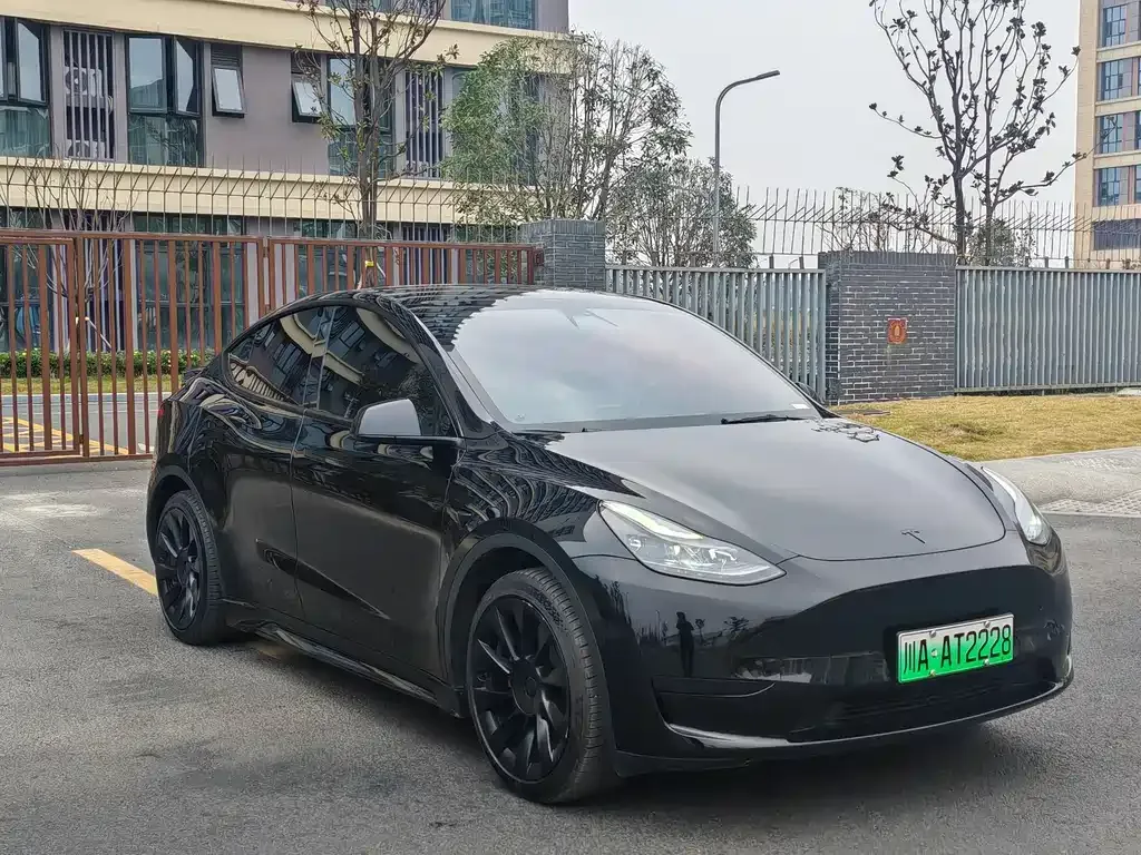 Tesla Model Y — фото 2
