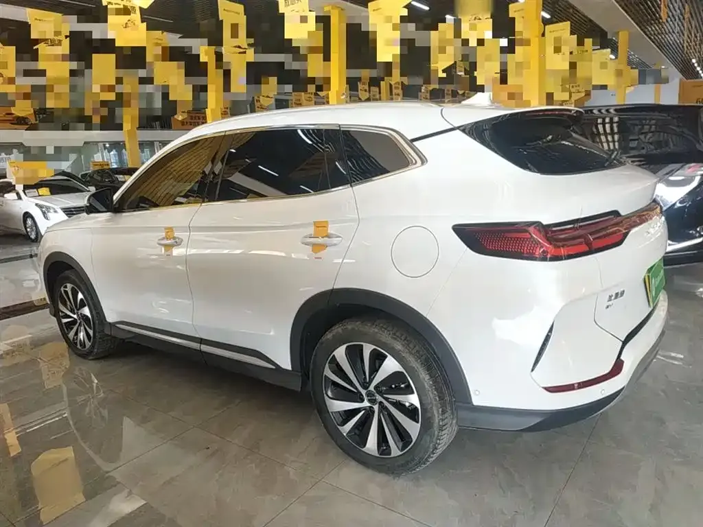 BYD PLUS New Energy — фото 8