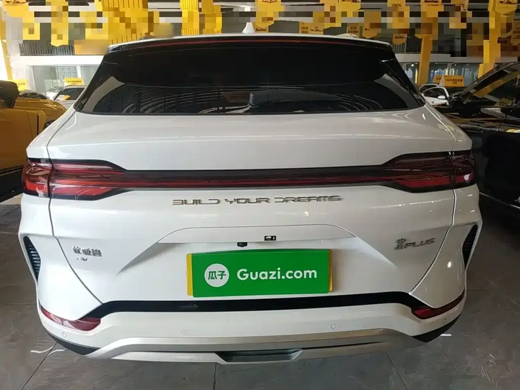 BYD PLUS New Energy — фото 10