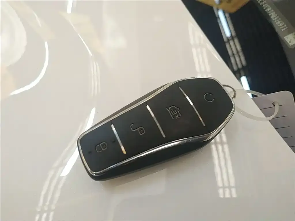 BYD PLUS New Energy — фото 4