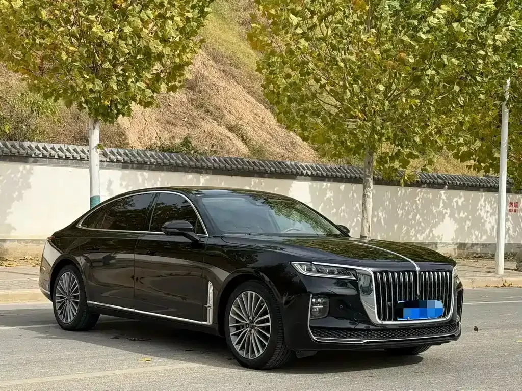 Hongqi H9 2022 из CN, фото 3