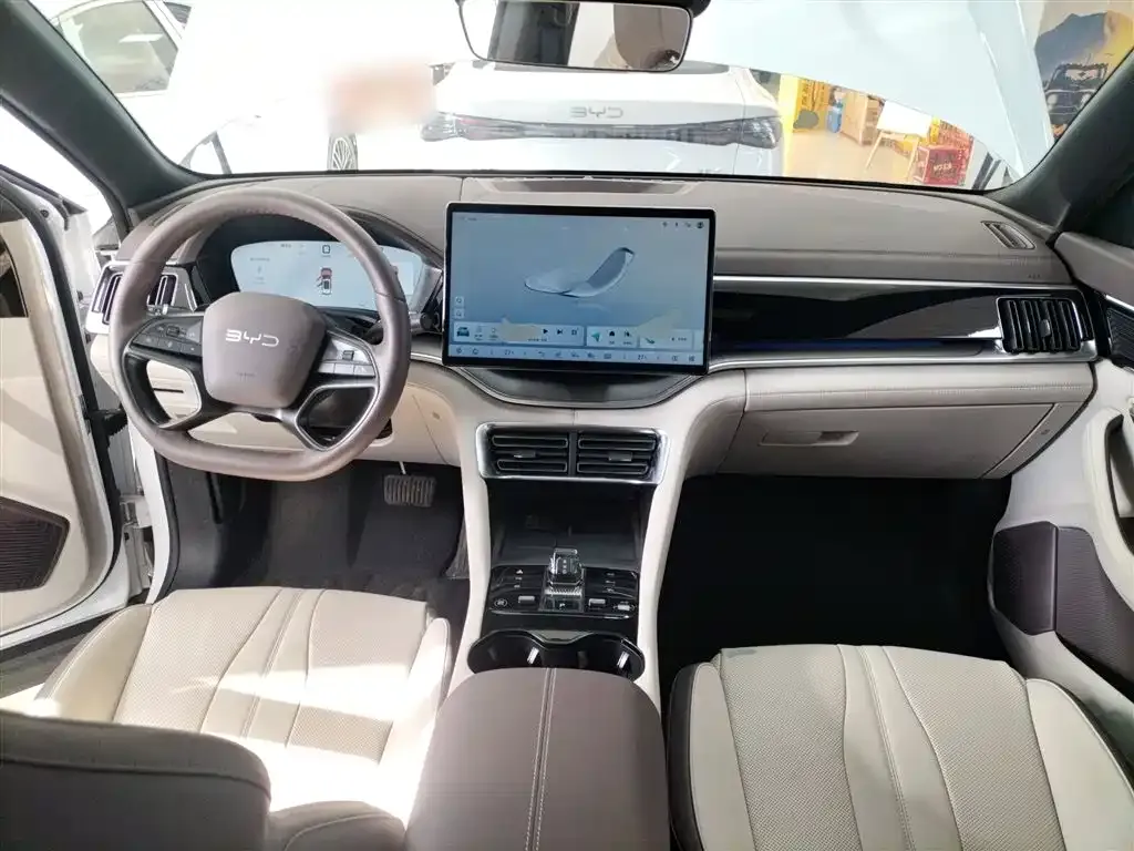BYD PLUS New Energy 2025 из CN, фото 10