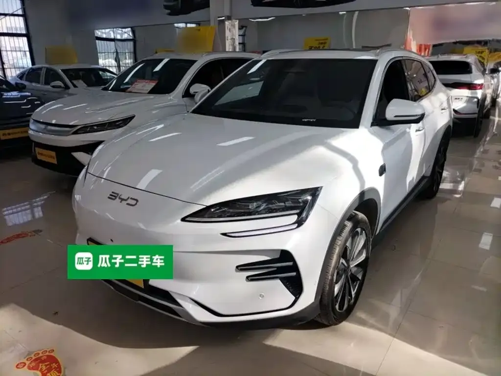 BYD PLUS New Energy 2025 из CN, фото 2