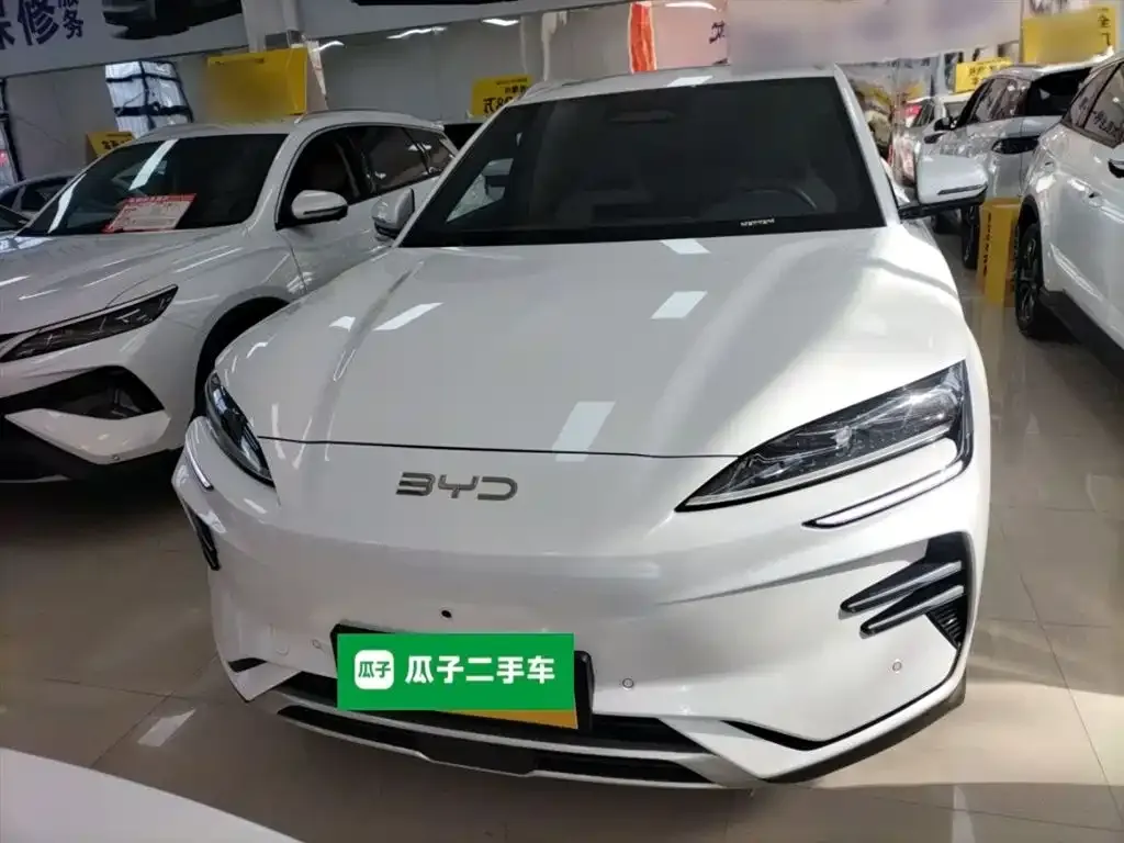 BYD PLUS New Energy 2025 из CN, фото 3