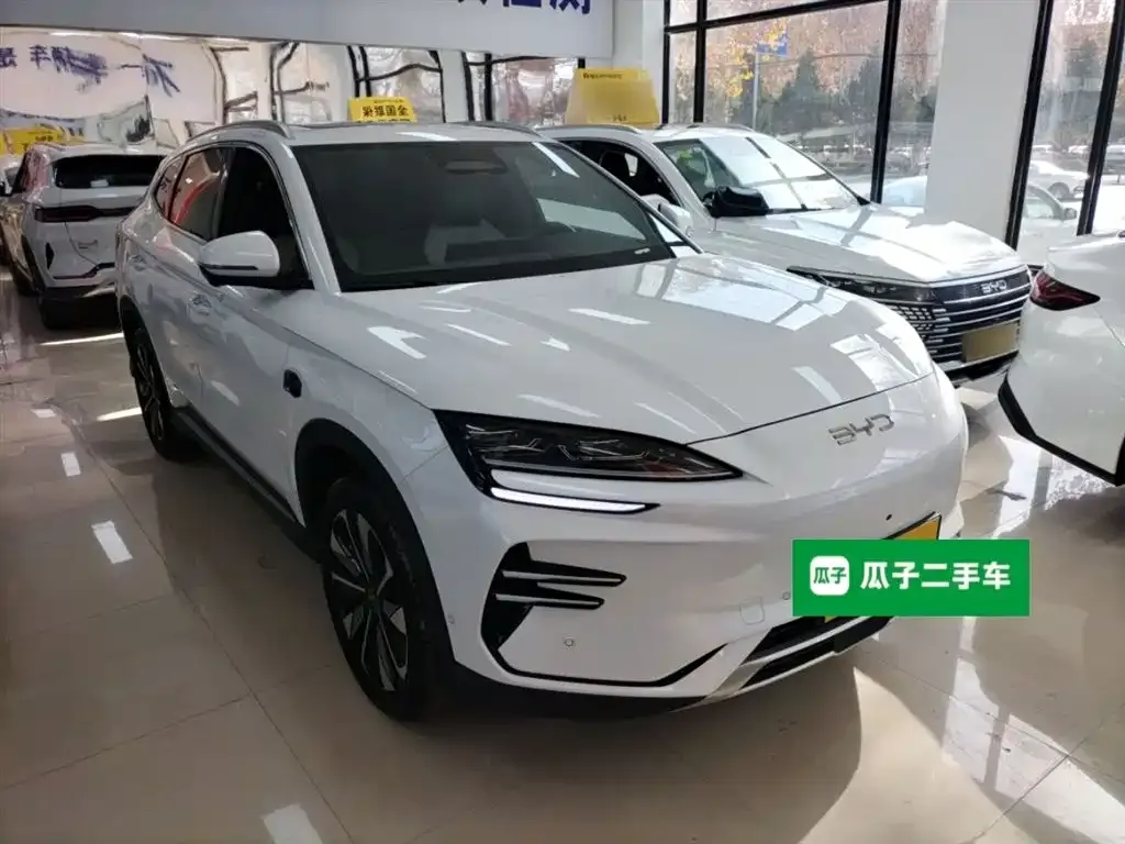 BYD PLUS New Energy 2025 из CN, фото 4