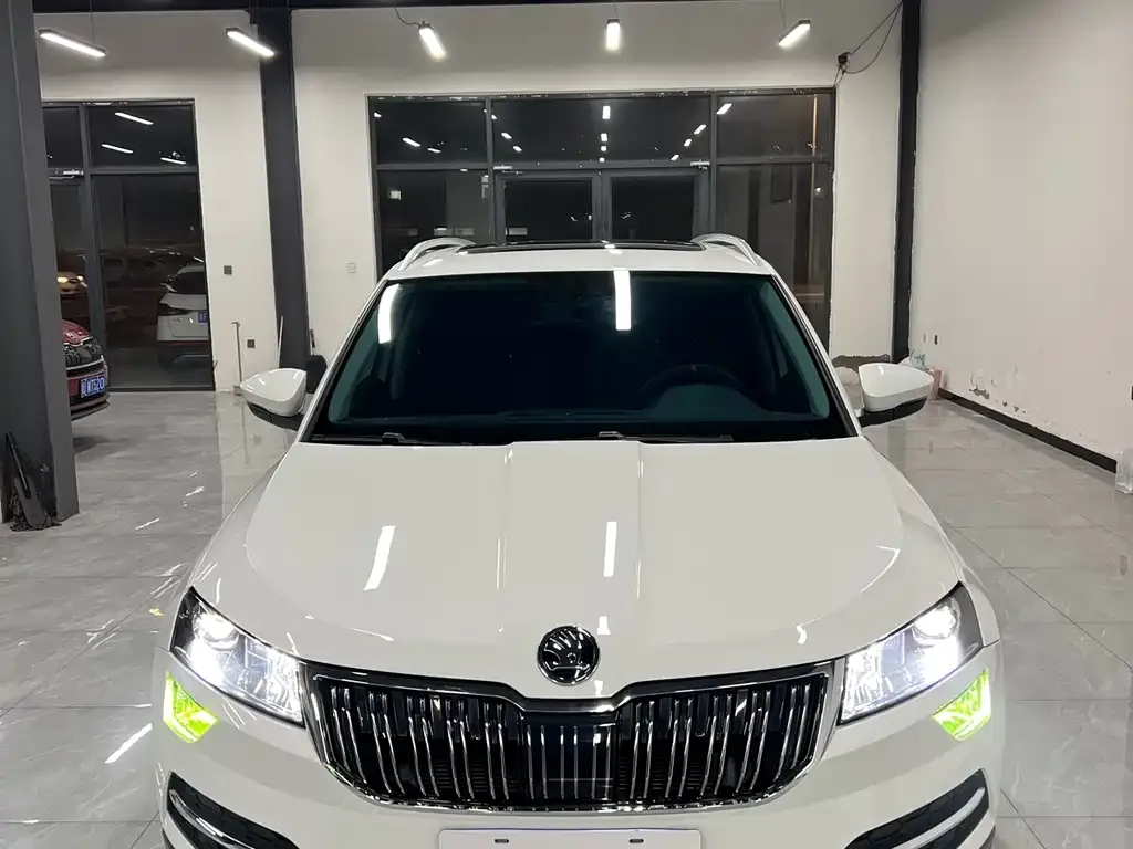 Skoda Karoq — фото 7