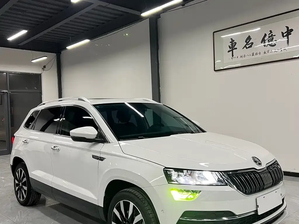 Skoda Karoq — фото 3