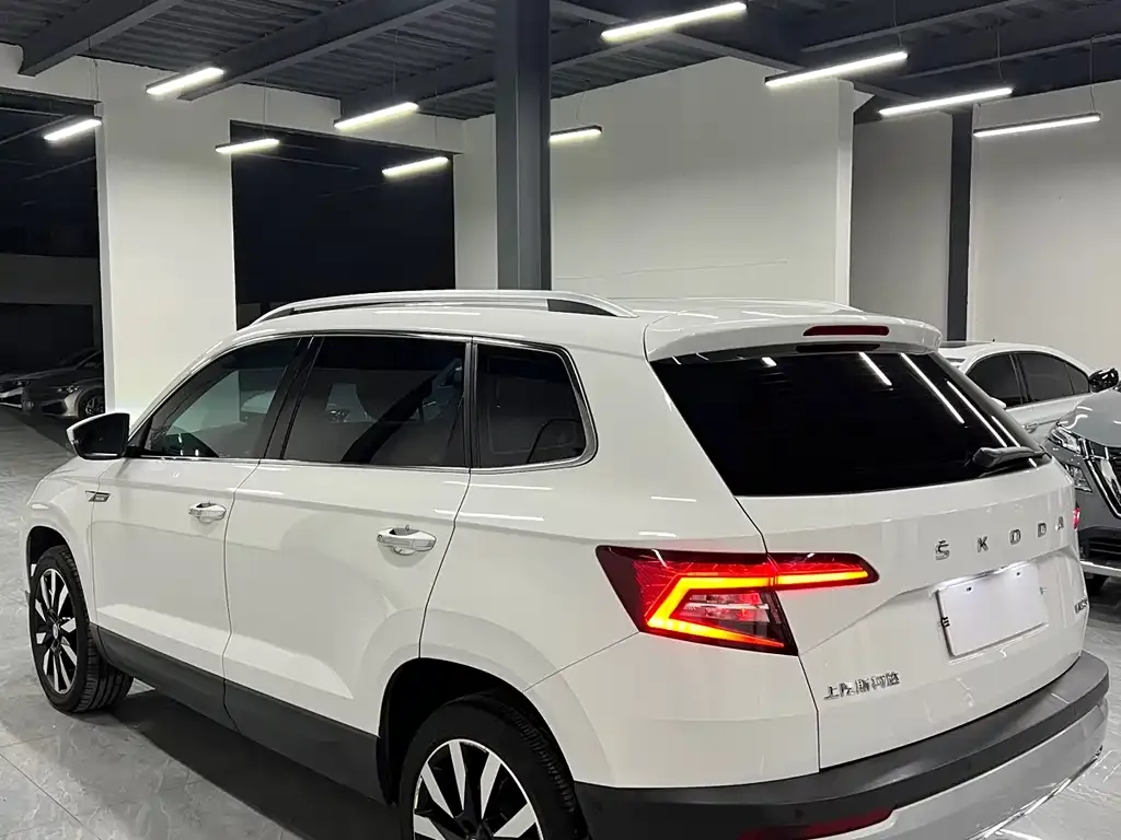 Skoda Karoq — фото 6