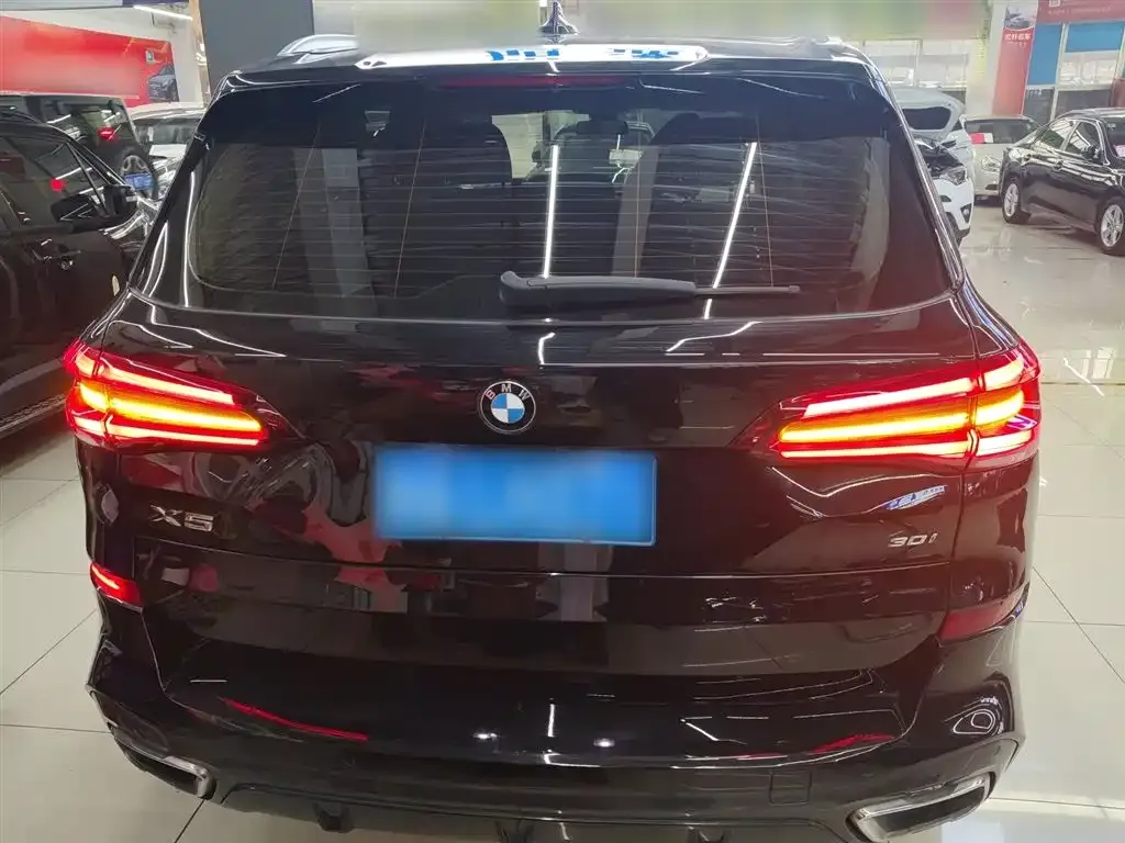 BMW X5 (Import) 2021 из CN, фото 6