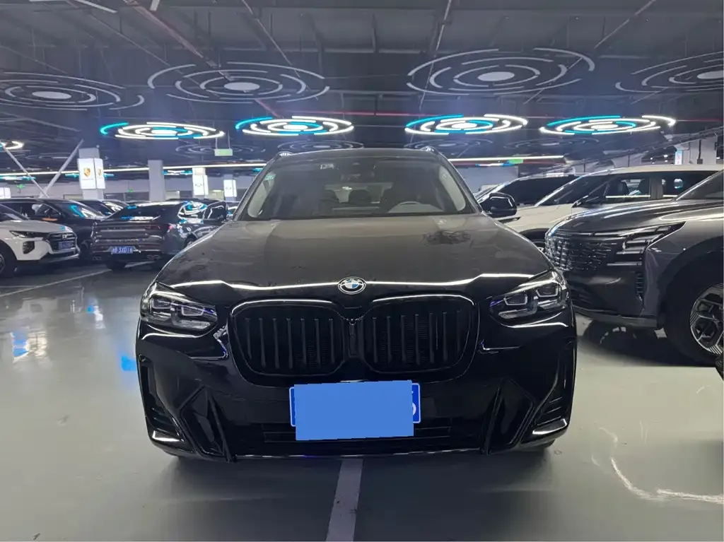 BMW X3 2022 из CN, фото 6