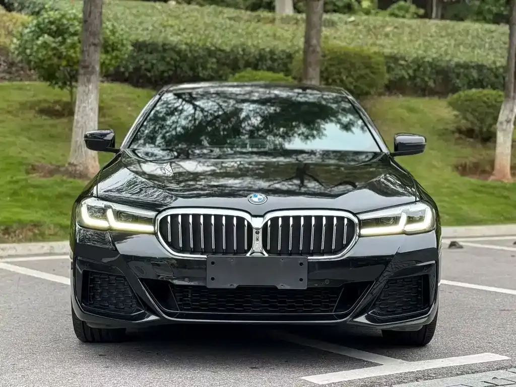 BMW 5 Series 2023 из CN, фото 1