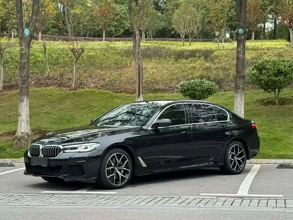 BMW 5 Series 2023 из CN, фото 3