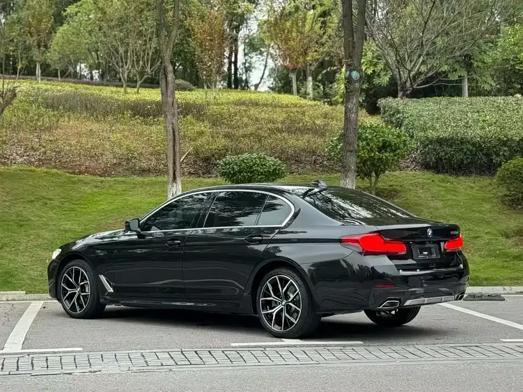 BMW 5 Series 2023 из CN, фото 8