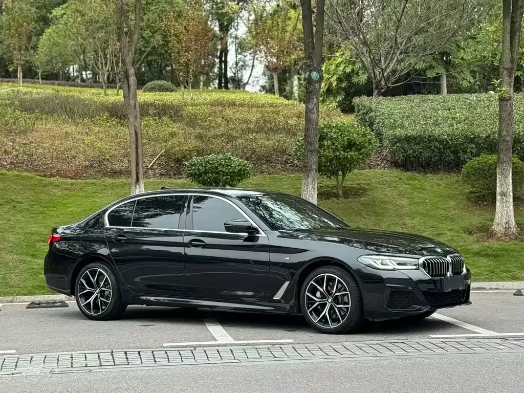 BMW 5 Series 2023 из CN, фото 9