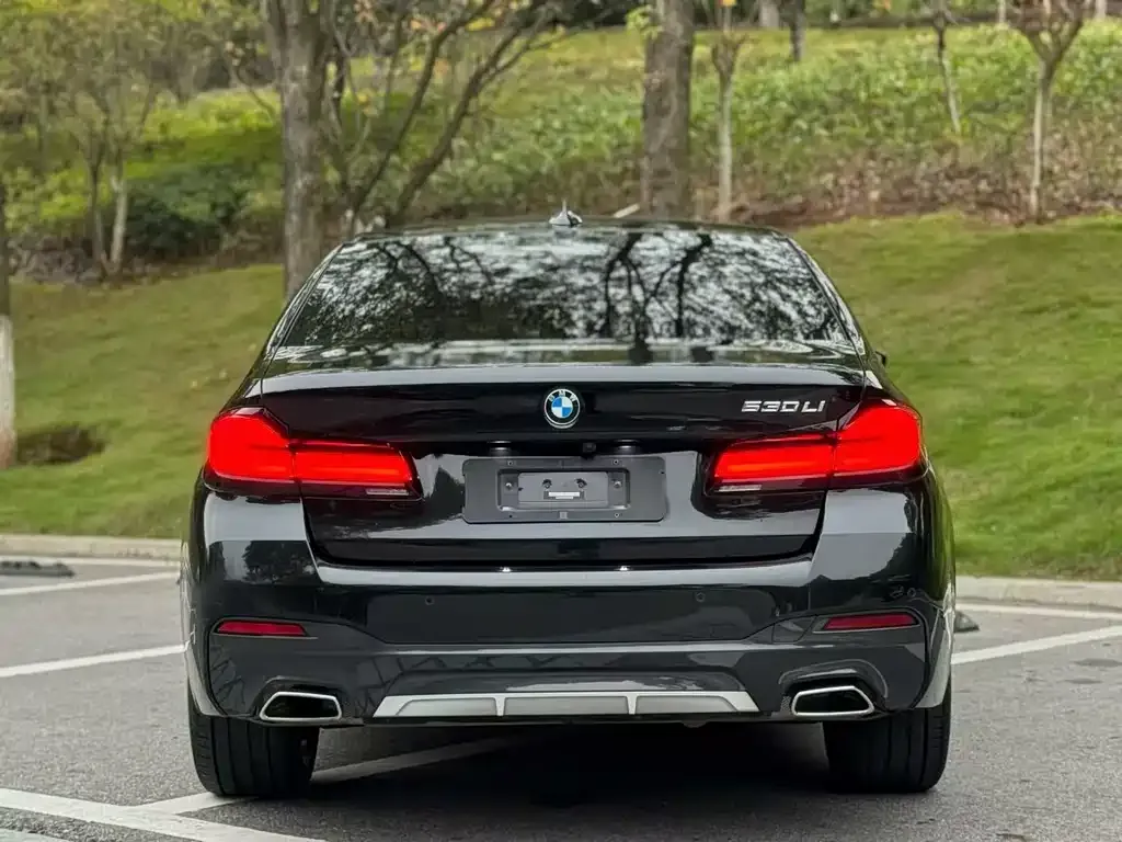 BMW 5 Series 2023 из CN, фото 4
