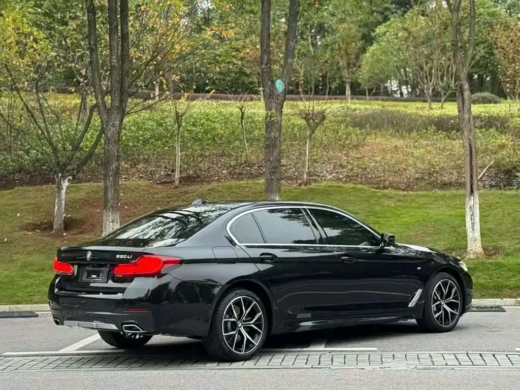 BMW 5 Series 2023 из CN, фото 2
