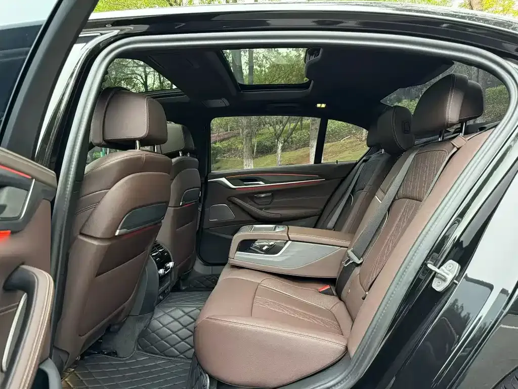 BMW 5 Series 2023 из CN, фото 6