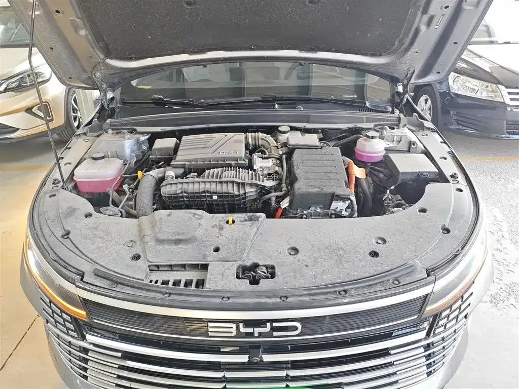 BYD Destroyer 05 2024 из CN, фото 4