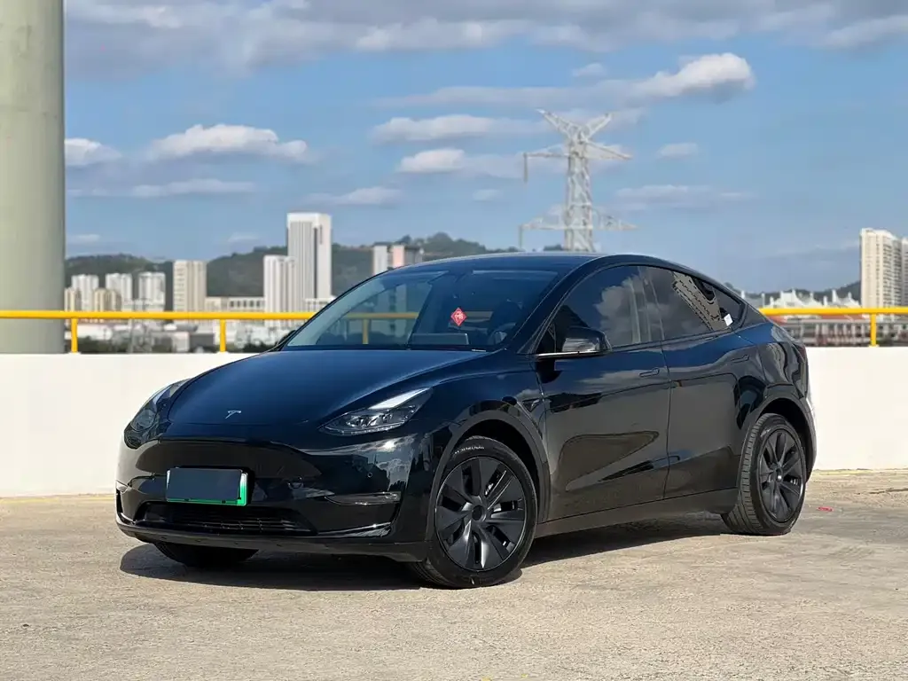 Tesla Model Y — фото 1