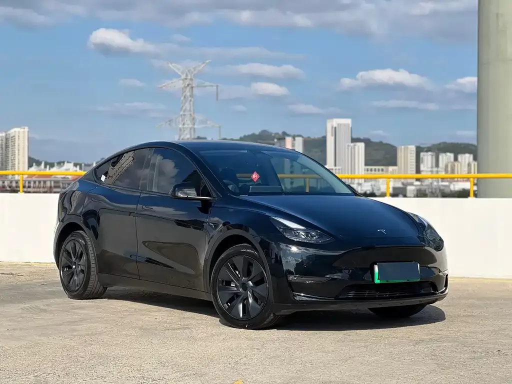 Tesla Model Y — фото 10