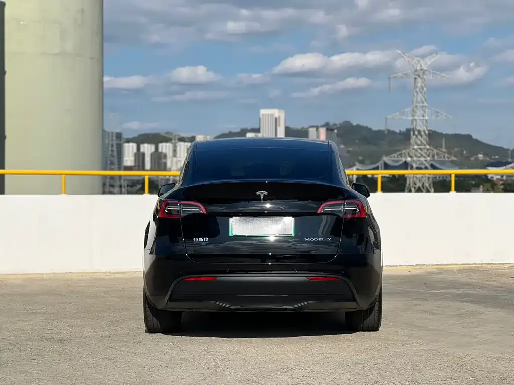 Tesla Model Y — фото 5